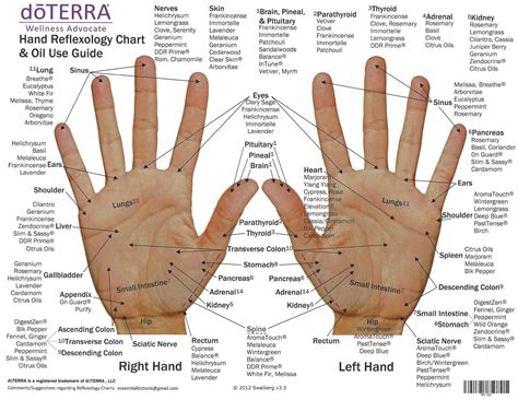 Free Printable Hand Reflexology Templates [Charts, Maps] / PDF