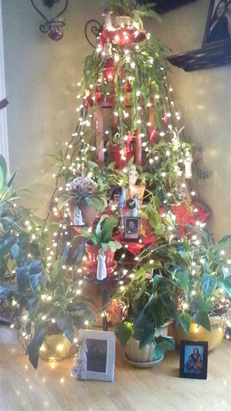 My living angel tree | Holiday decor, Angel tree, Tree