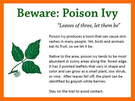 How to identify poison ivy - nosetastic