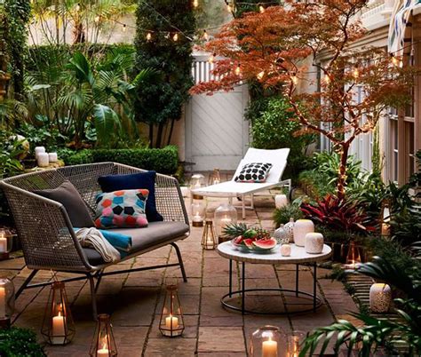 10 Mind-Blowing Small Fern Garden Ideas: Create a Serene Oasis in Your ...