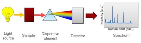 Raman Spectroscopy and its Uses – StudiousGuy