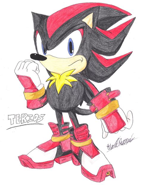 Terios the Hedgehog | Heroton Group Wiki | Fandom