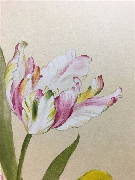 Parrot tulip. Oriental painting. | Painting, Artwork, Parrot tulips