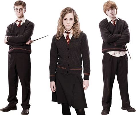 Harry Potter Cardigan, Harry Potter Uniform, Gryffindor Uniform, Harry Potter School, Harry ...