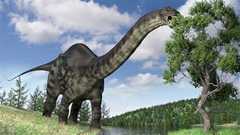 Brontosaurus Facts - The Giants of the Jurassic Era - SciQuest