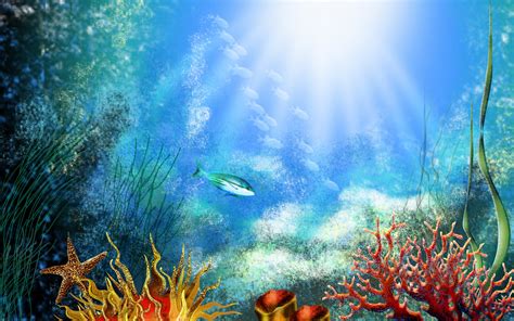 50+ Best Aquarium Backgrounds | Free & Premium Templates