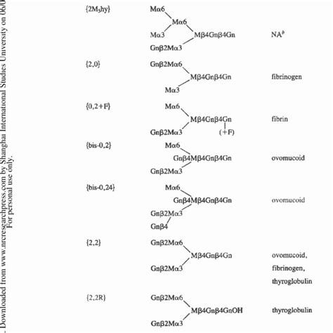 Oligosaccharide structures and nomenclaturea | Download Table