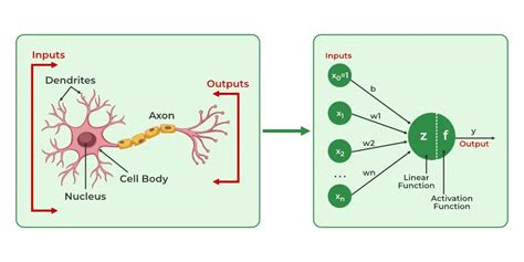 Artificial Neural Networks