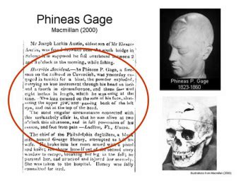 What has changed with Phineas Gage? - How Phineas Gage has changed