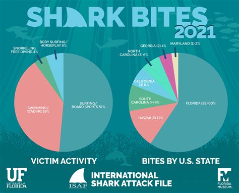 After three years of declines, shark bites are again on the rise ...