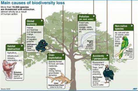 Europe bids to 'halt' biodiversity loss