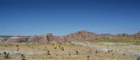 bungle bungles view 22 - Travel around Australia