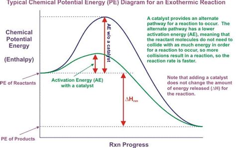 Effect of catalysts on rate of reaction #catalyst #activationenergy ...