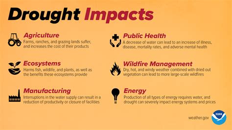 Effects Of Drought On Agriculture