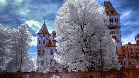 architecture, Castle, Schloss Faber Castell, Nuremberg, Trees ...