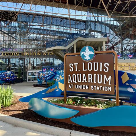 A Peek Inside the St. Louis Aquarium – Amanda Markel