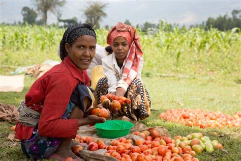 Scaling Climate-Smart Agriculture in Ethiopia, from the Ground Up | ATA