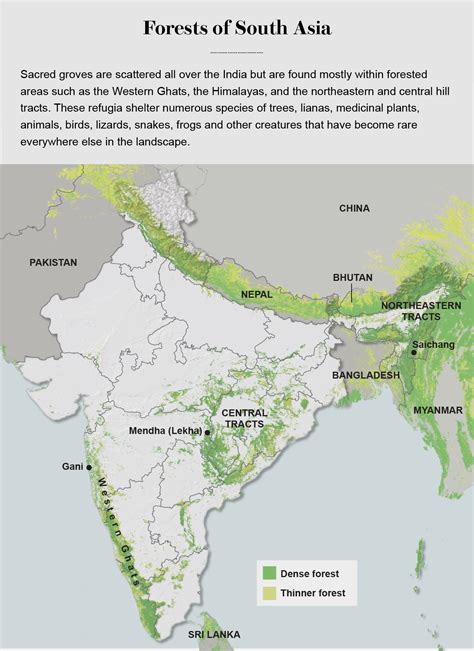 Sacred Groves: An Ancient Tradition of Nature Conservation - Scientific ...