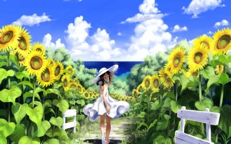 Girl in Sunflowers Field - Other & Anime Background Wallpapers on Desktop Nexus (Image 1954458)