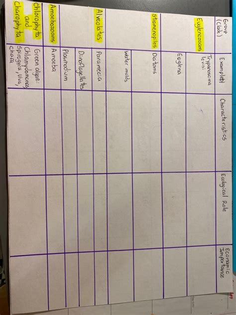 Solved day Group (clade) Examples Characteristics Ecological | Chegg.com