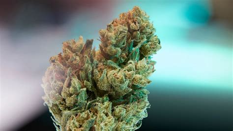 What Is THC-H? THC-H Effects, Potency And How It’s Made