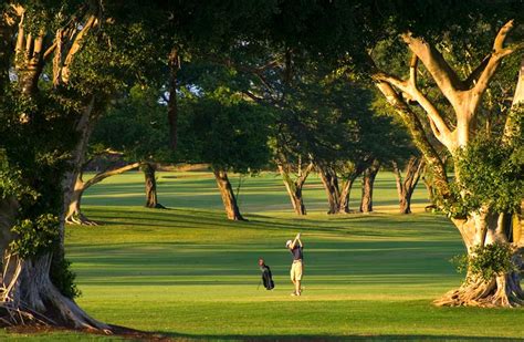 Moanalua Golf Club, 9 hole golf in Honolulu, Hawaii