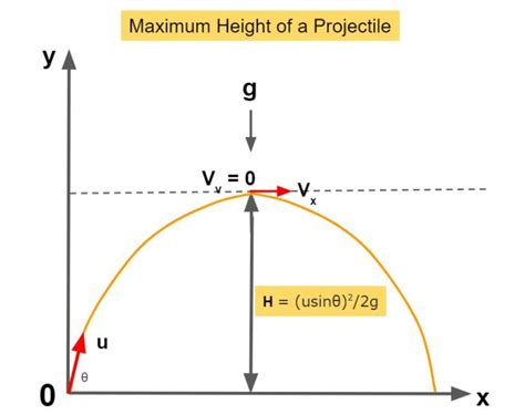 Maximum height of a projectile formula - DewWool