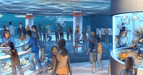 National Aquarium in Baltimore to Open Interactive Exhibit | Aquarium ...