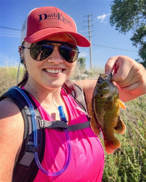 Nice Green Sunfish today : r/Fishing