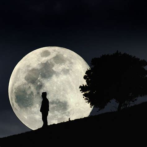 Big Moon | Moon photography, Mind blowing pictures, Big moon