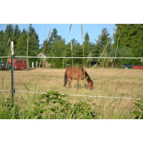 Temporary Fencing For Horse Pastures (PDF) — Horses For, 53% OFF