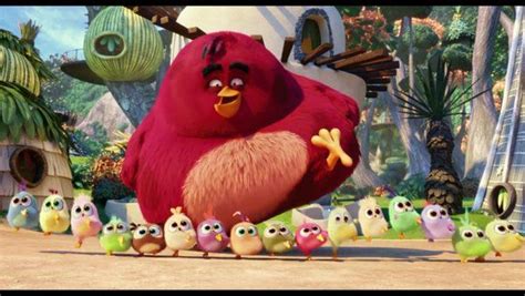 Look at all the little hatchlings! Angry Birds New, Angry Birds Movie, Hatchling, New Era ...