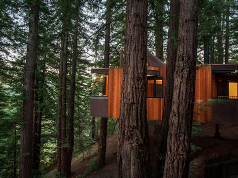 8 Most Magical Treehouse Hotels in the U.S. 2021