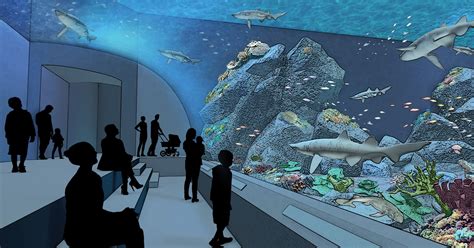 Deep Blue KC: Expansive new aquarium coming to KC Zoo after 10 years of ...