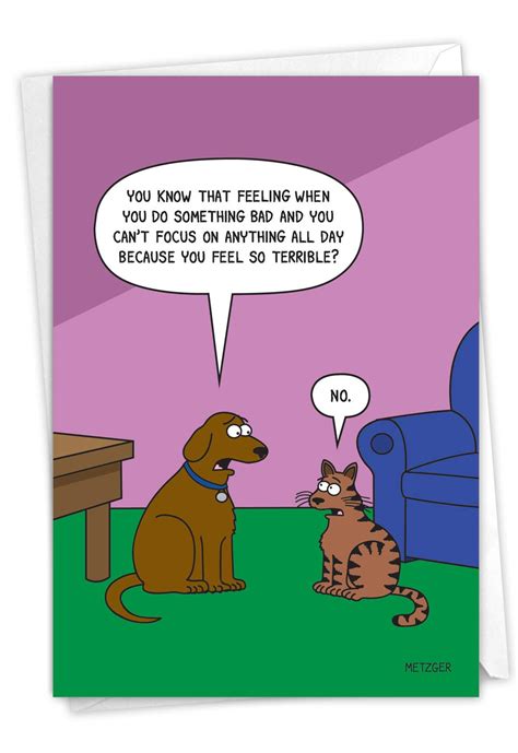 Buy NobleWorks - 1 Funny Animal Card for Birthdays - Pet Cat and Dog Humor, Birthday Notecard ...