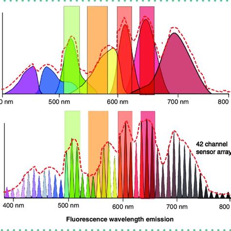 (PDF) Review Flow cytometry: past and future