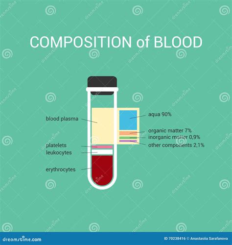 The Composition of Human Blood in Vitro Composition Plasma Stock Vector ...