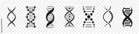 DNA icon collection. Set of black dna icons Stock Vector | Adobe Stock