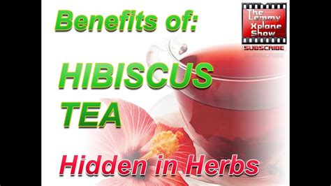 Hibiscus Flower Tea Side Effects | Best Flower Site