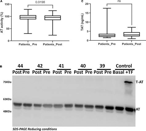 Antithrombin activity in patients underwent transcatheter aortic valve ...