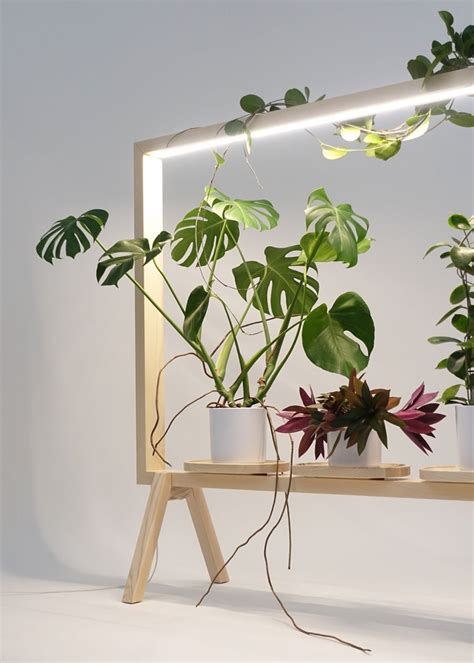 This light-up frame turns your plants into art | Indoor plant lights, Plant decor indoor, Plant ...