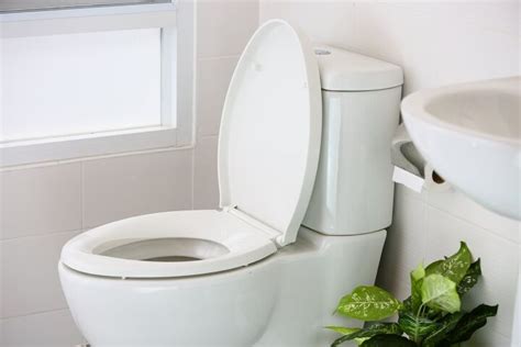 Slow-Close Toilet Seat Not Working? (Possible Causes & Fixes) | Upgradedhome.com