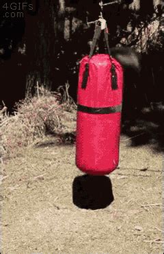 Ram Punching Bag GIF - Ram PunchingBag Headbutt - Discover & Share GIFs