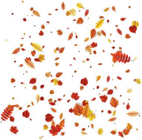 Autumn Leaves PNG Transparent Images, Pictures, Photos