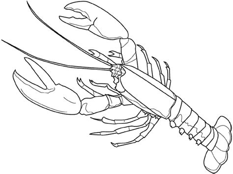 Lobster #22480 (Animals) – Free Printable Coloring Pages