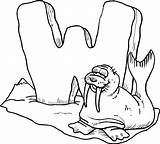 Free Printable Walrus Coloring Pages For Kids sketch template