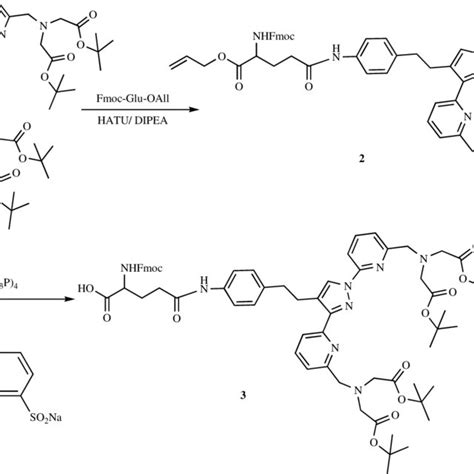 Scheme 1. Synthesis of the oligopeptide labeling reactant (3 ...