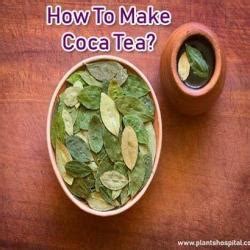 11 Best Health Benefits Of Rose Tea: Uses, Side Effects And Warnings