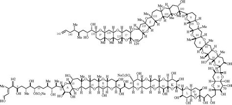 Complex structure of maitotoxin. | Download Scientific Diagram