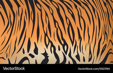 Bengal tiger stripe pattern Royalty Free Vector Image